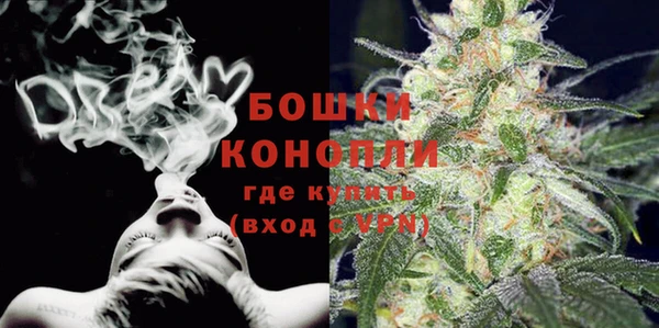 амф Аркадак