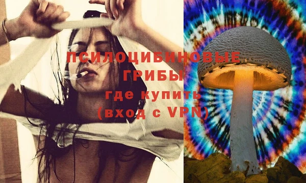 герыч Алексеевка
